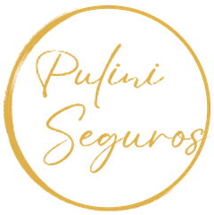 Pulini Seguros